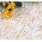 100% Natural China Marble Stone Off White Wall Tile